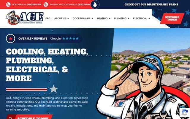 ACE Home Services's page as the assistant saw it