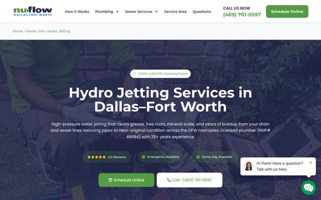 Nuflow DFW's page as the assistant saw it