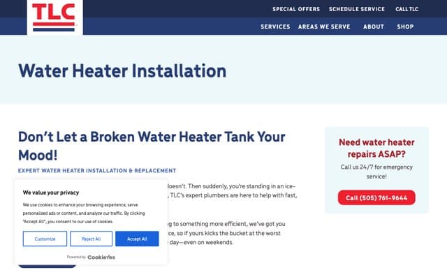 TLC Plumbing's page as the assistant saw it