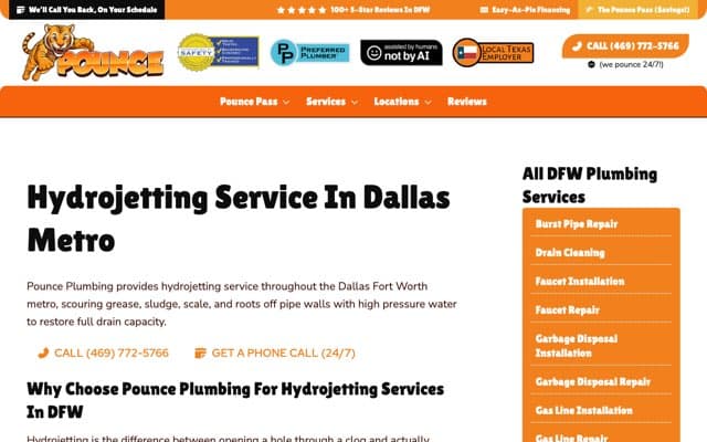 Pounce Plumbing's page as the assistant saw it