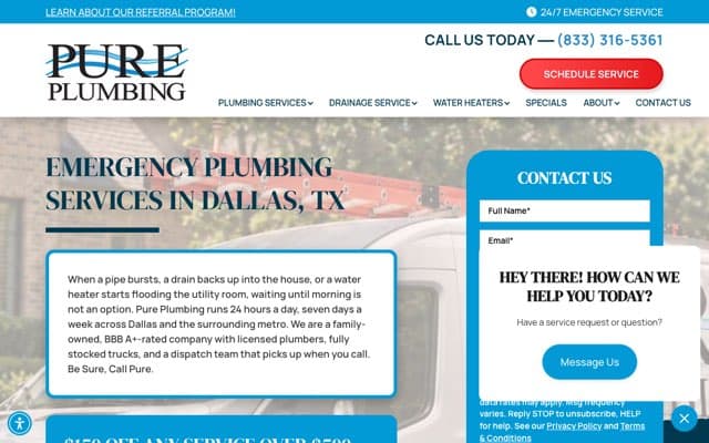 Pure Plumbing DFW's page as the assistant saw it