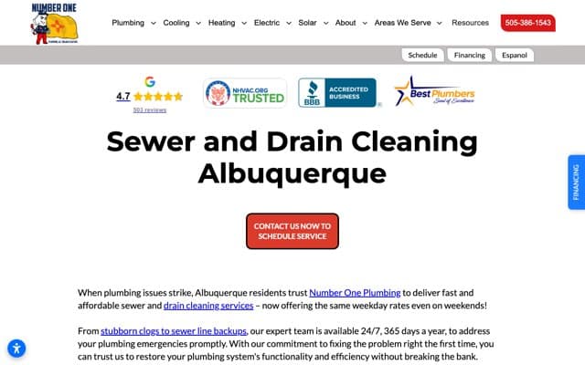 Number One Plumbing, AC, Solar & Electric's page as the assistant saw it